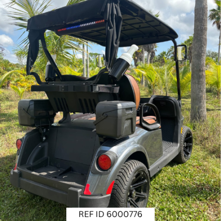 2027 E-Z-GO RXV Elite golf cart in Platinum at Sunshine Golf Car