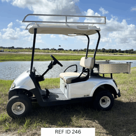 2022 E-Z-GO RXV Elite golf cart with cargo box and ladder rack for utility use