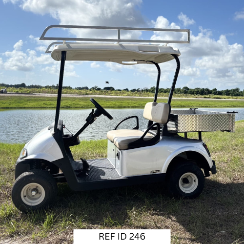 2022 E-Z-GO RXV Elite golf cart with cargo box and ladder rack for utility use