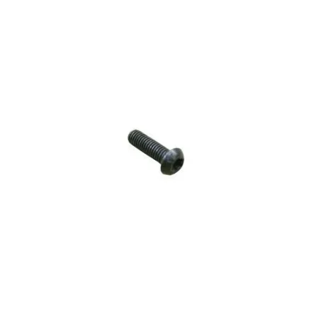 BOLT BHD TORX + M6-1X20