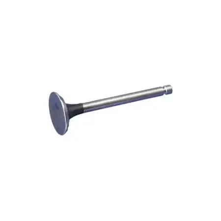 VALVE EXHAUST