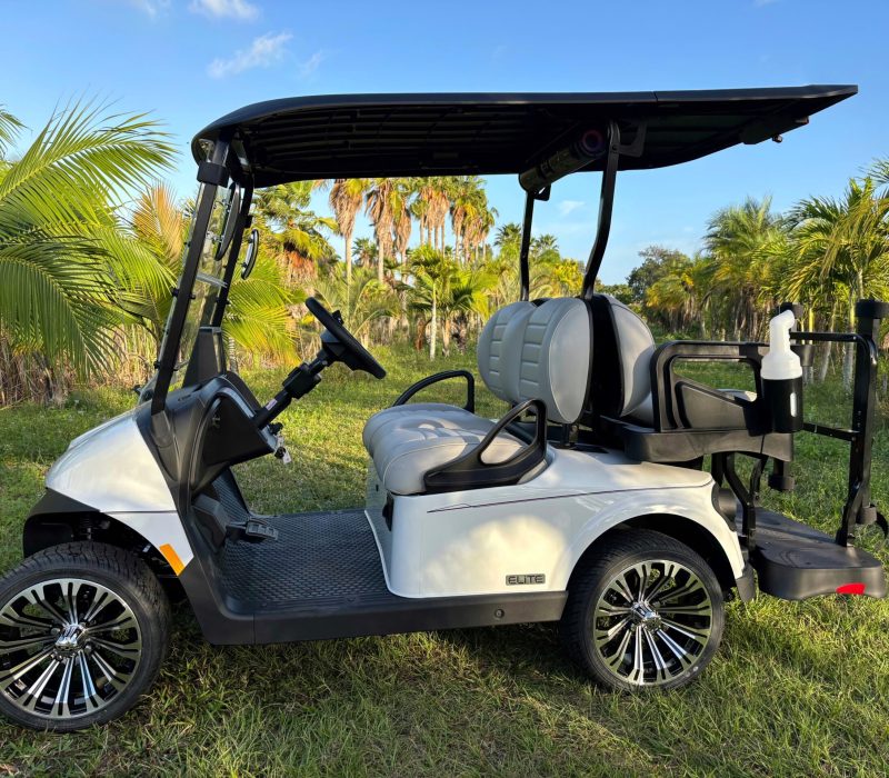 7024ca4d-ba45-4346-a6e6-2401964c84f5