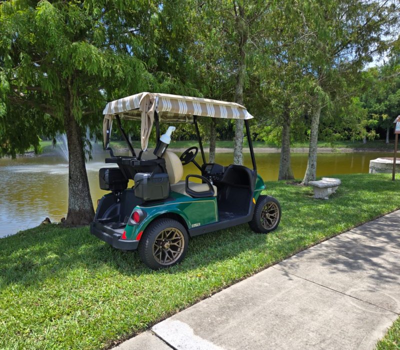 d0a2833e-cef7-44ff-b1d6-d1d8c54c94ed